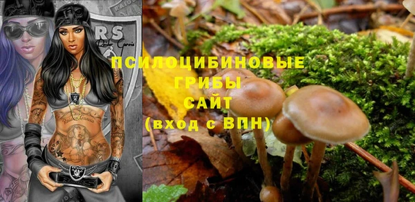 первитин Абинск