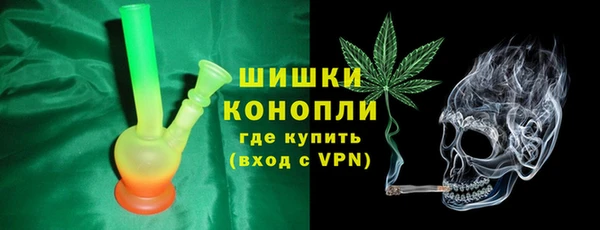 гидра Алексин