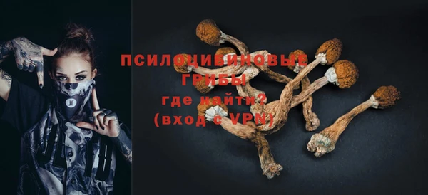 спиды Алзамай