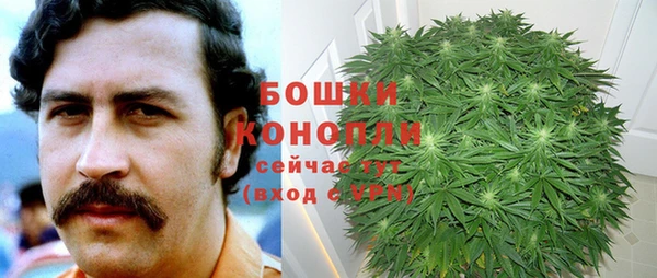 гидра Алексин