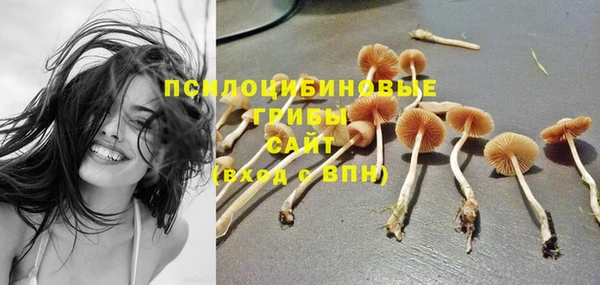 первитин Абинск