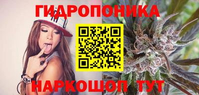 стаф Абакан