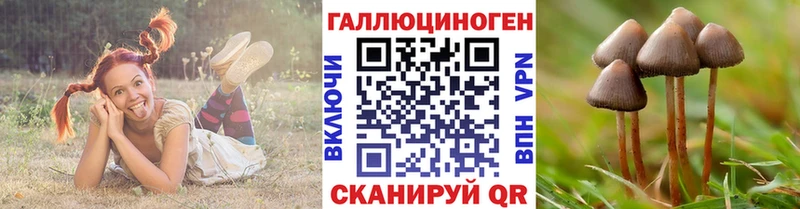 Галлюциногенные грибы мухоморы  это какой сайт  Анапа 